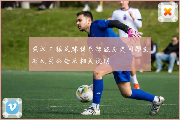武汉三镇足球俱乐部就历史问题发布处罚公告及相关说明